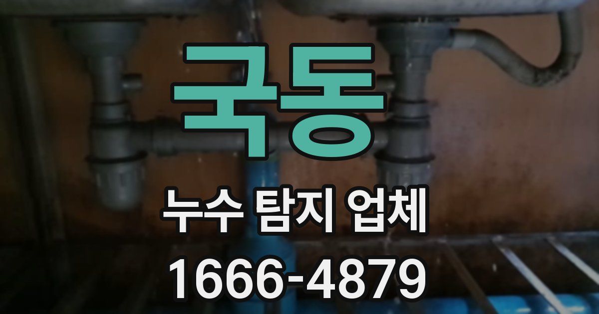 국동 누수 탐지 업체