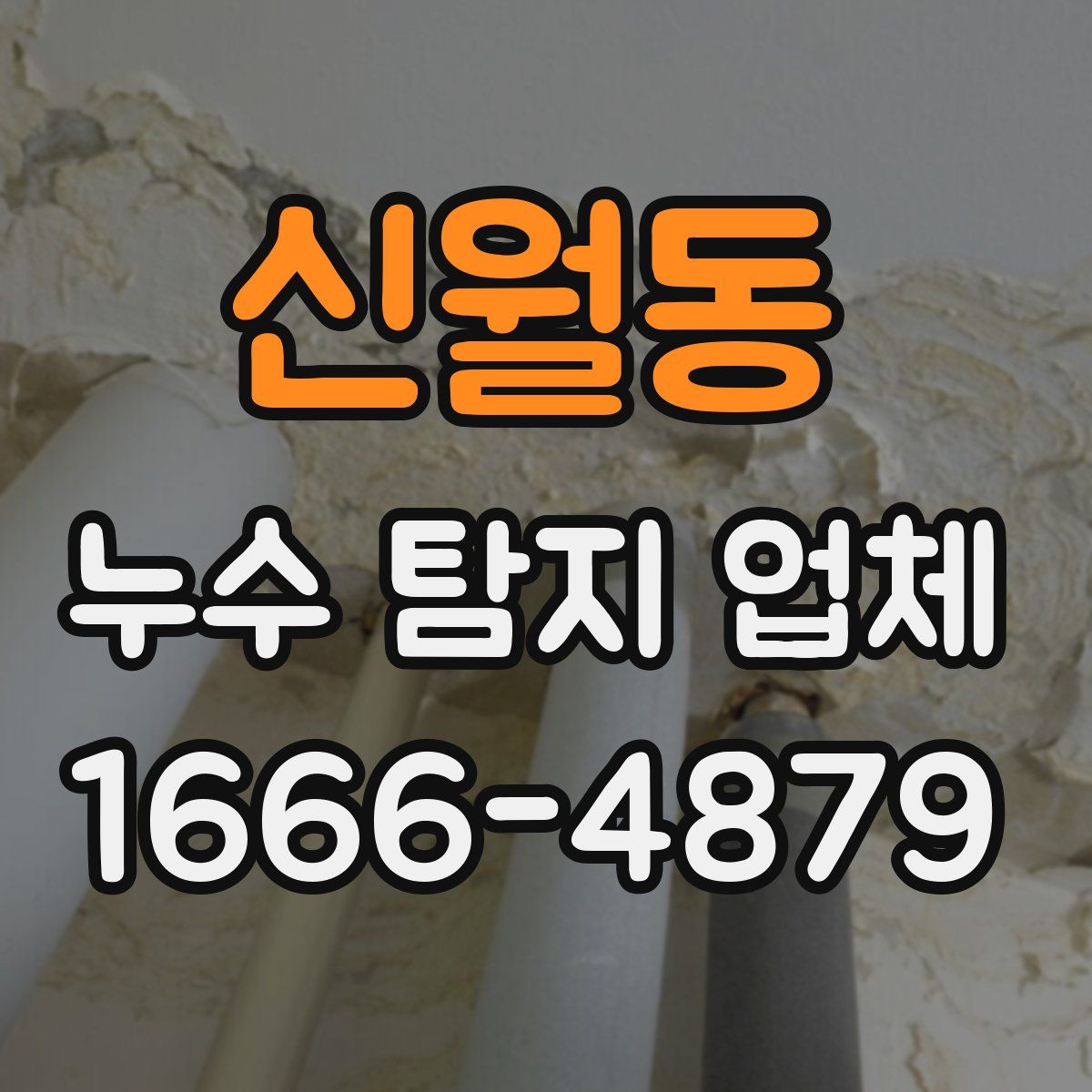 신월동 누수 탐지 업체