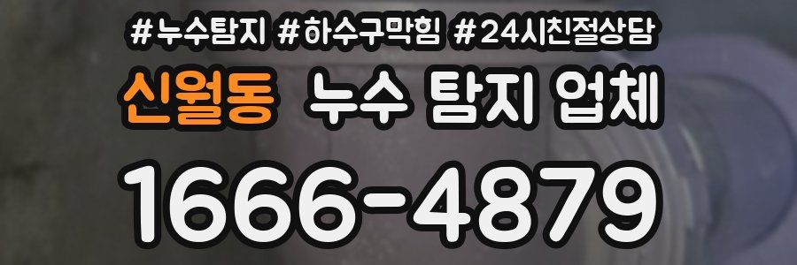 신월동 누수 탐지 업체