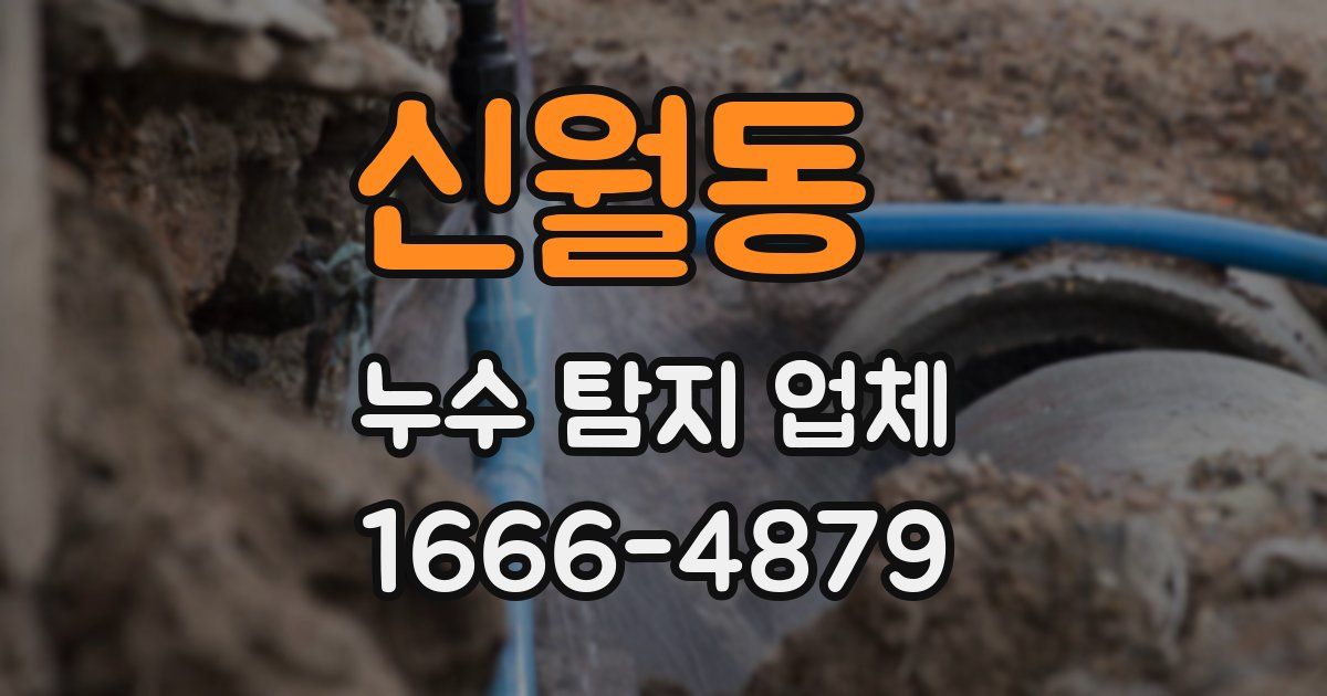 신월동 누수 탐지 업체