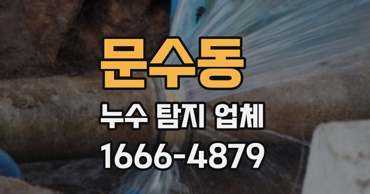 문수동 누수 탐지 업체