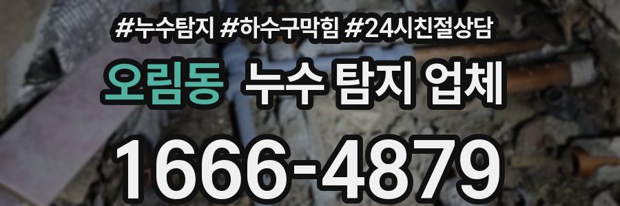 오림동 누수 탐지 업체