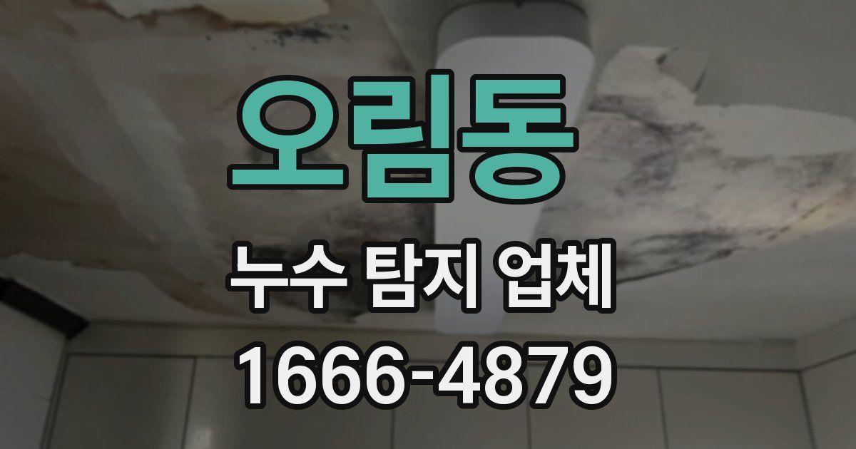 오림동 누수 탐지 업체