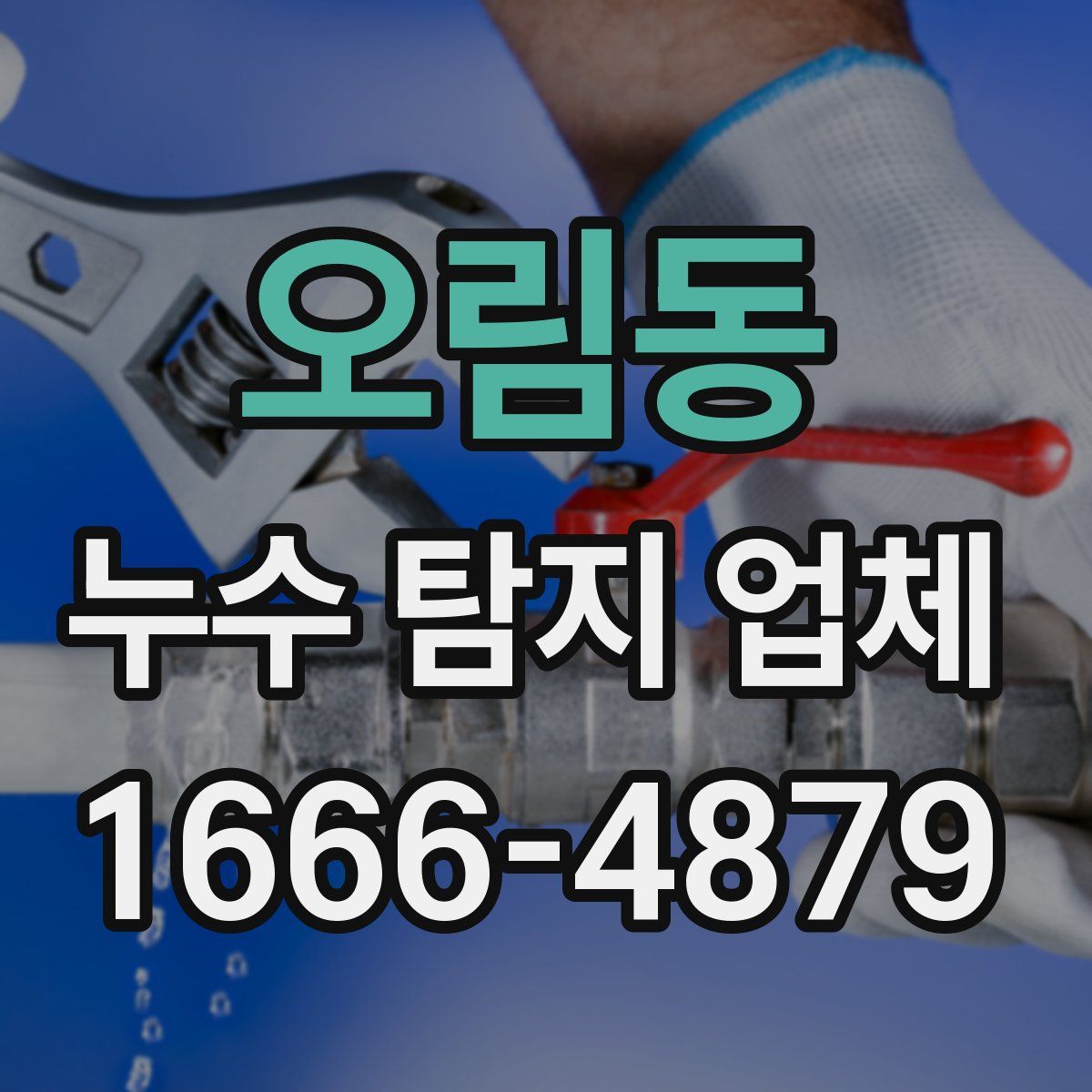 오림동 누수 탐지 업체