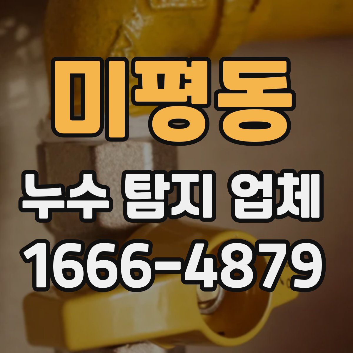 미평동 누수 탐지 업체
