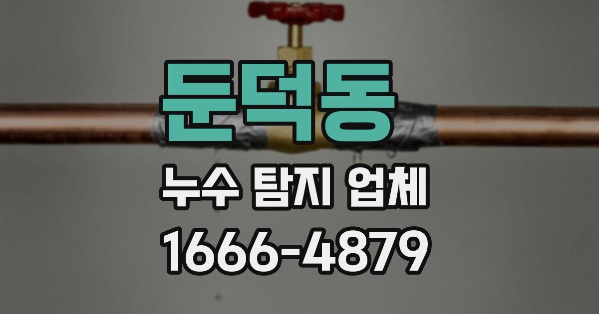 둔덕동 누수 탐지 업체