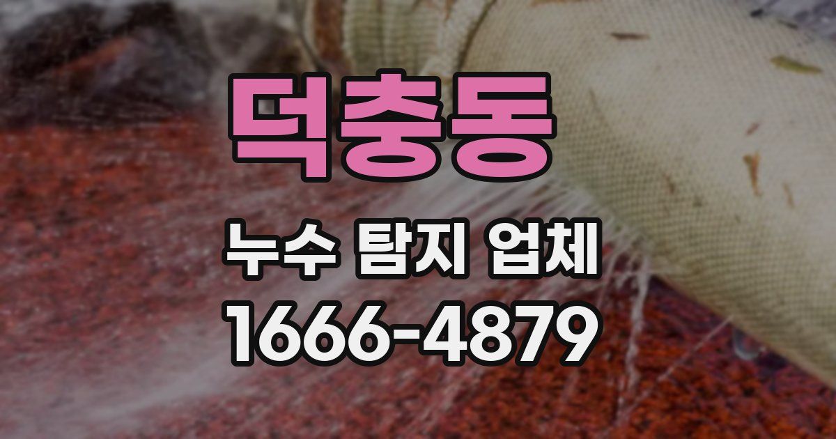 덕충동 누수 탐지 업체