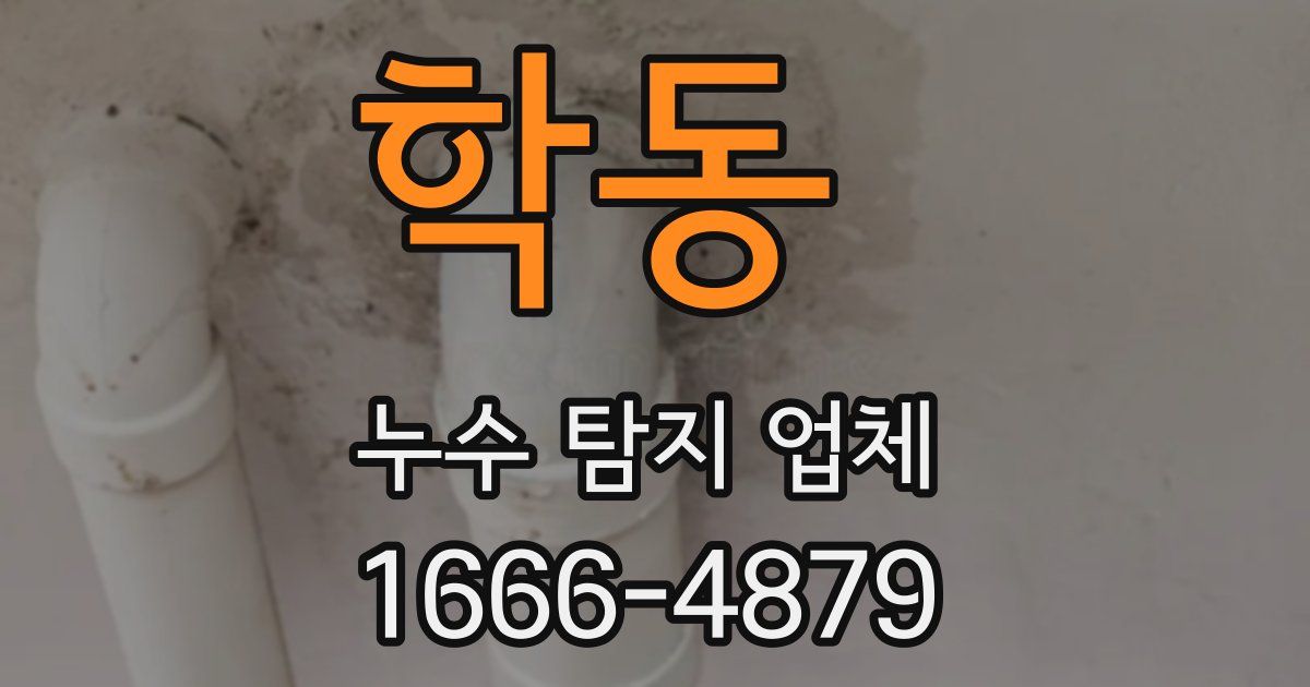 학동 누수 탐지 업체