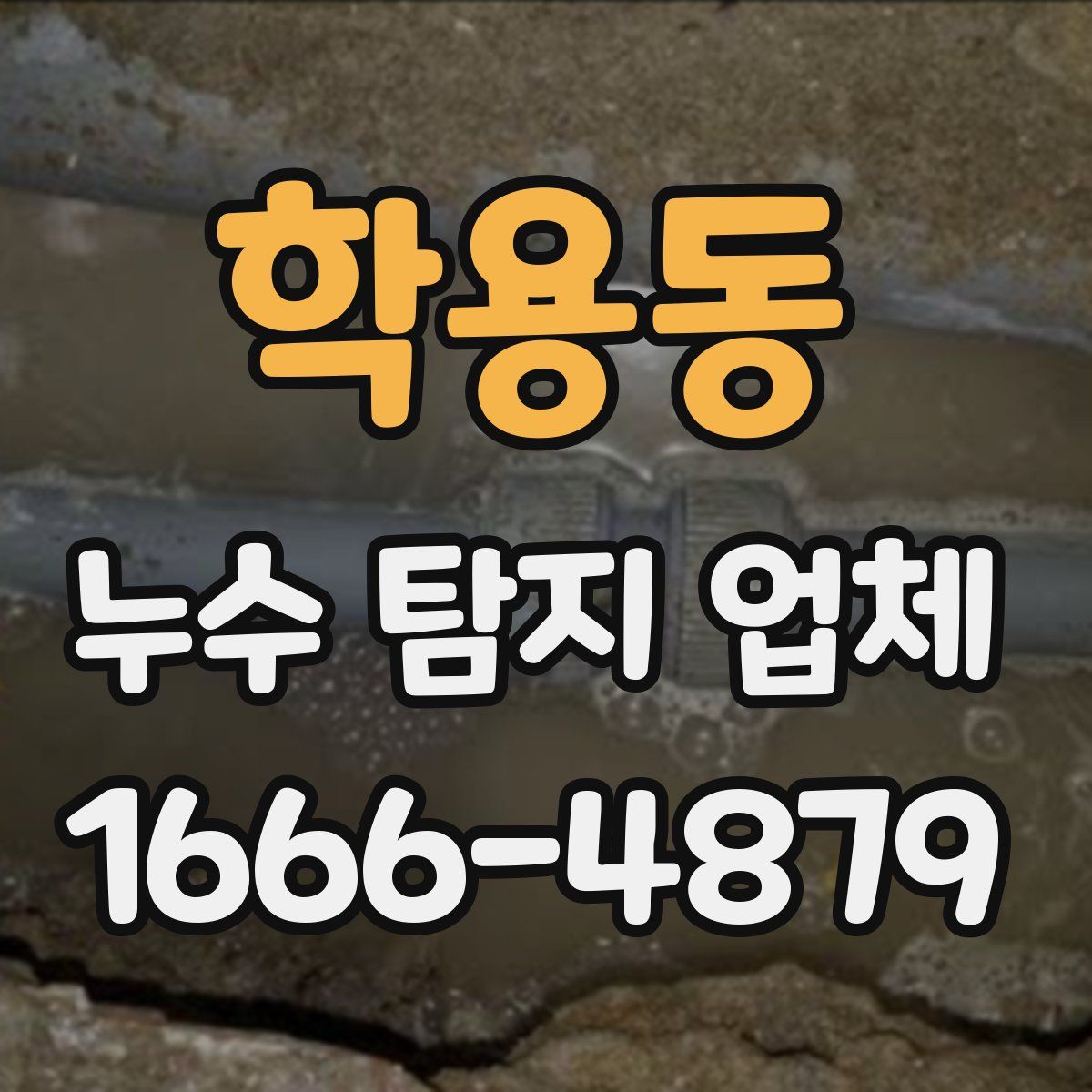 학용동 누수 탐지 업체