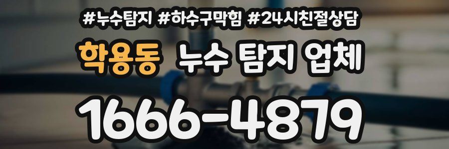 학용동 누수 탐지 업체