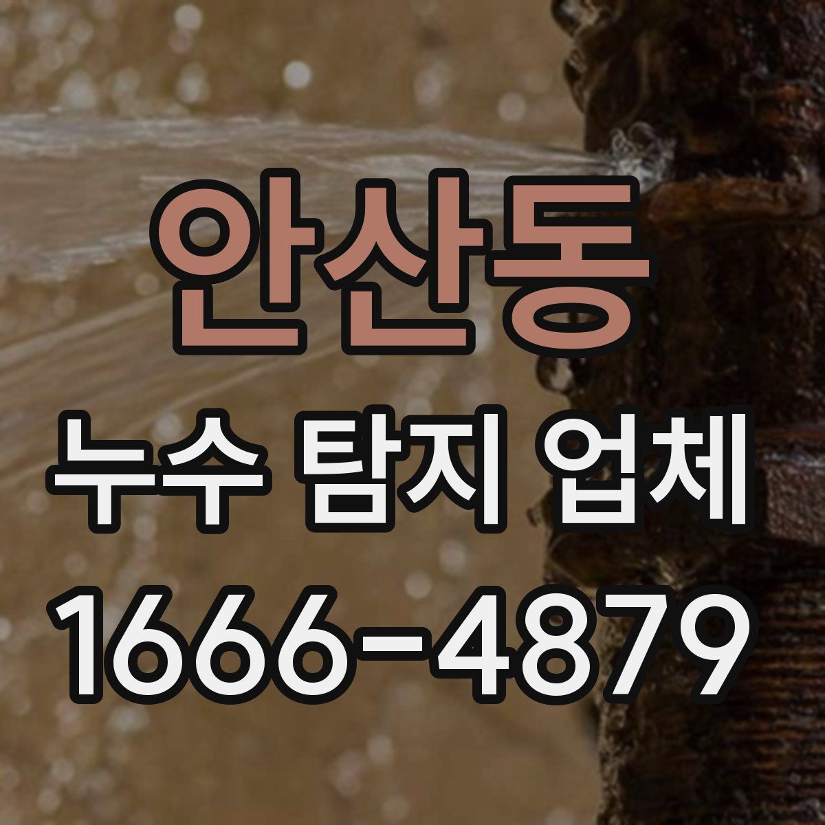 안산동 누수 탐지 업체