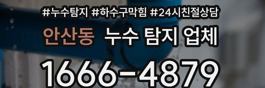 안산동 누수 탐지 업체