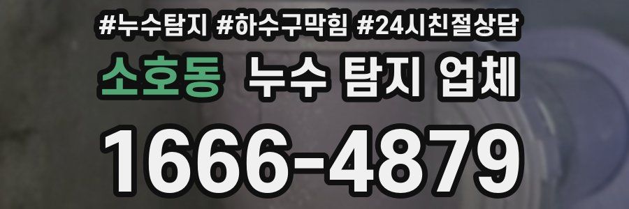 소호동 누수 탐지 업체