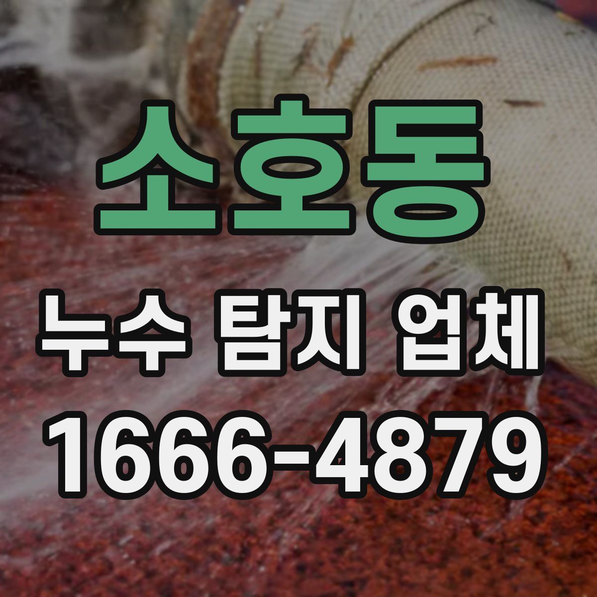 소호동 누수 탐지 업체
