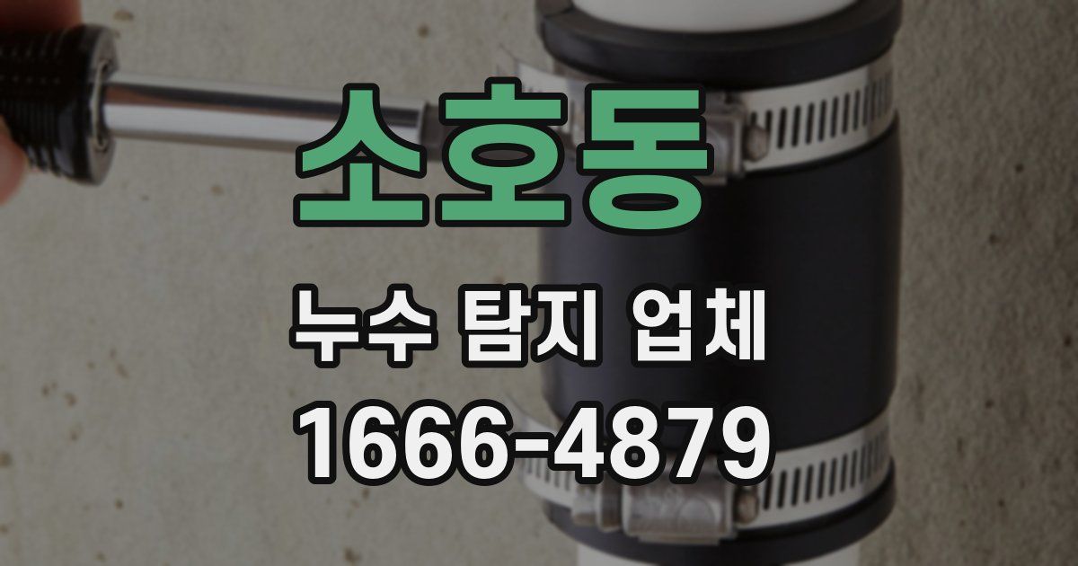 소호동 누수 탐지 업체