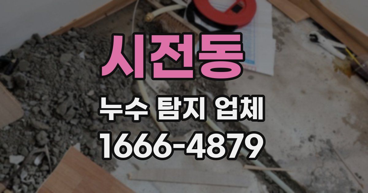 시전동 누수 탐지 업체