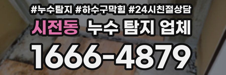 시전동 누수 탐지 업체