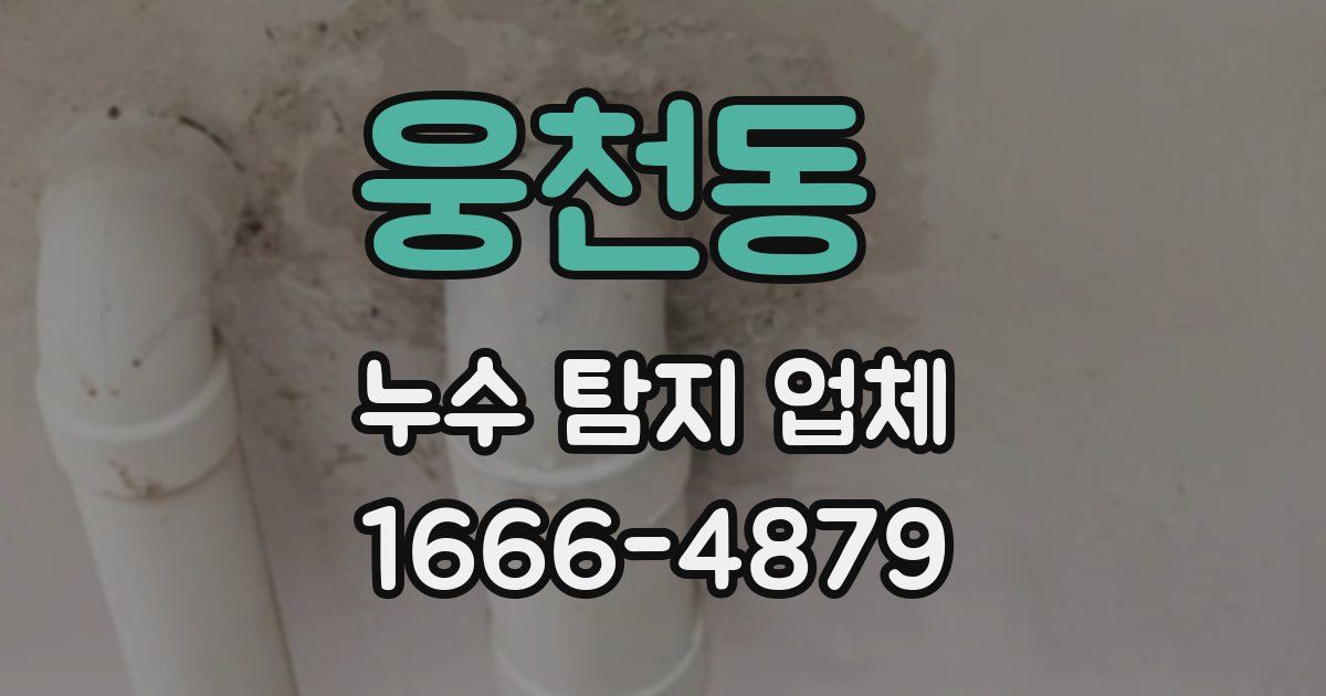 웅천동 누수 탐지 업체