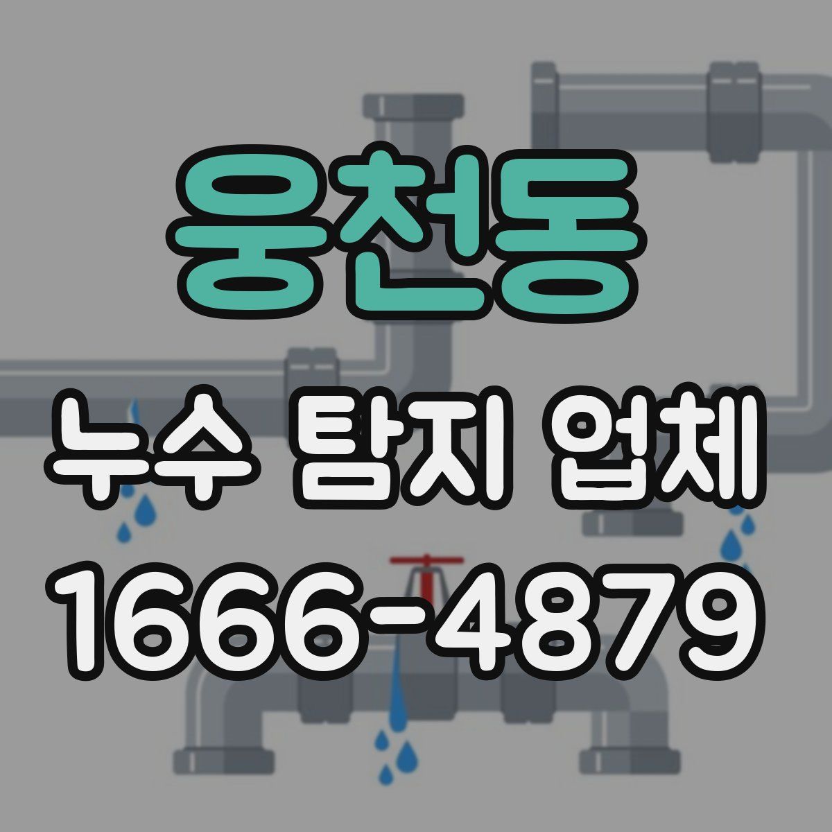 웅천동 누수 탐지 업체
