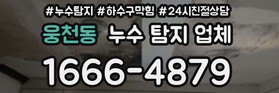 웅천동 누수 탐지 업체