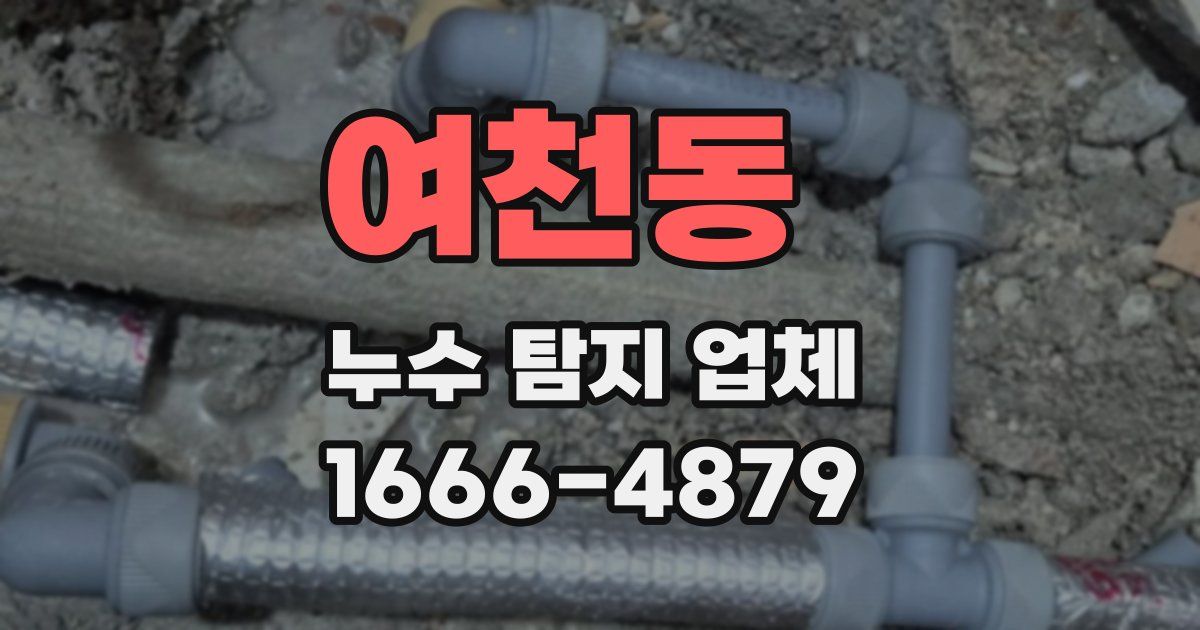 여천동 누수 탐지 업체