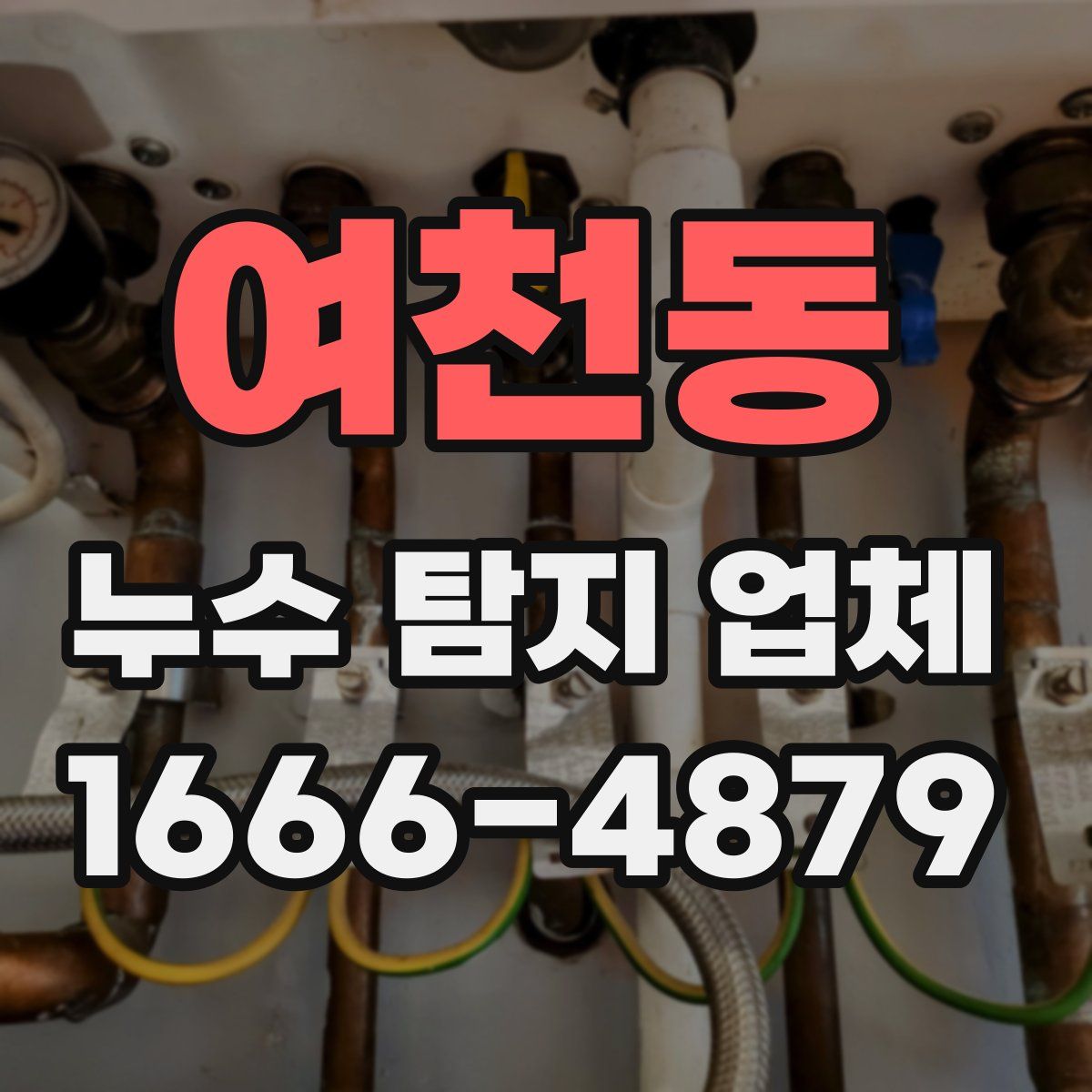 여천동 누수 탐지 업체