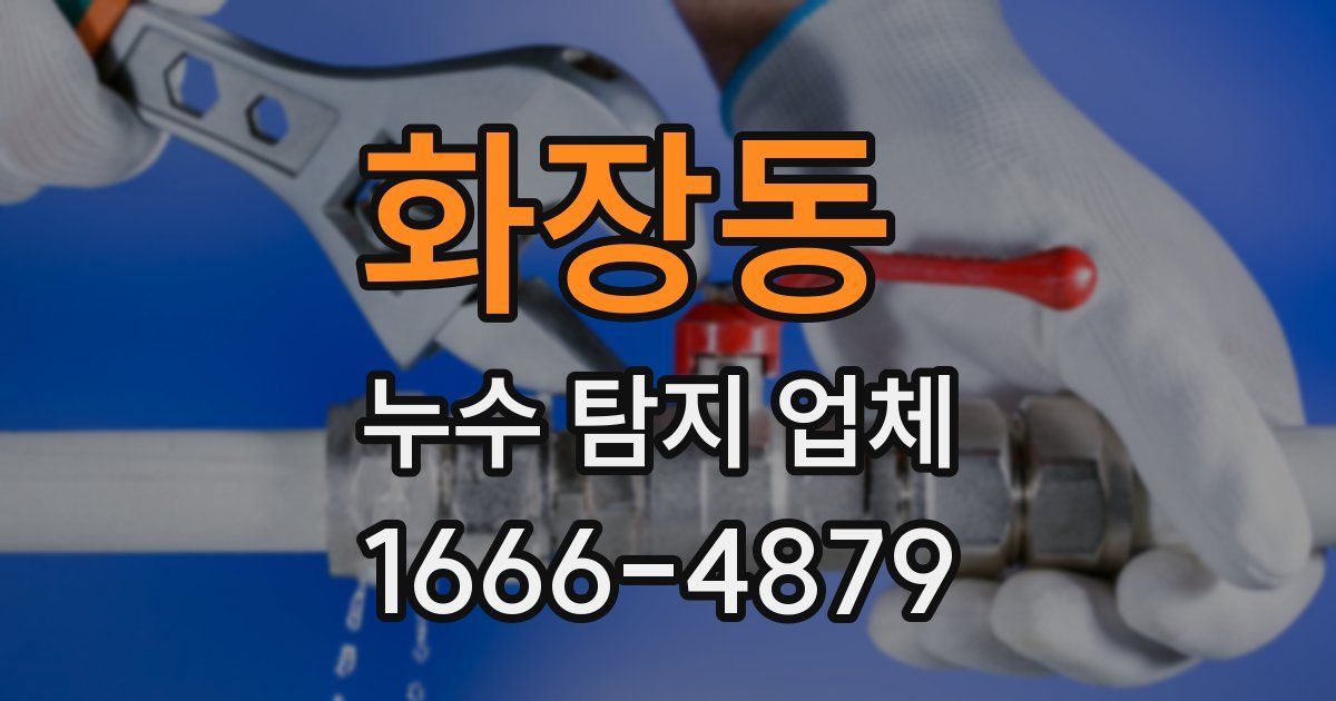 화장동 누수 탐지 업체