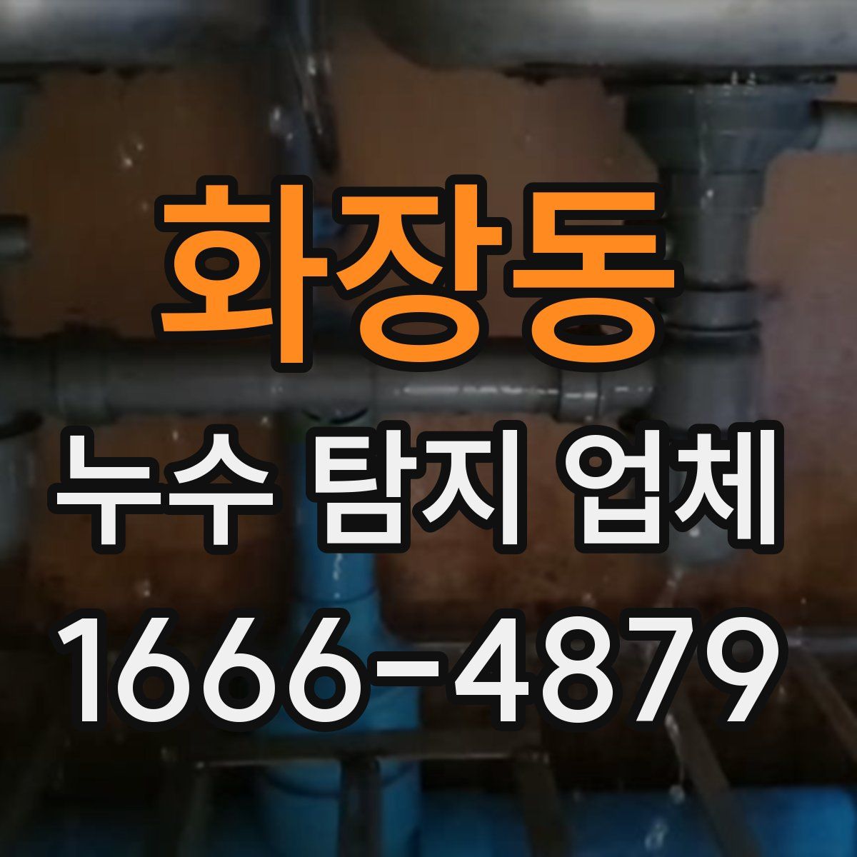 화장동 누수 탐지 업체