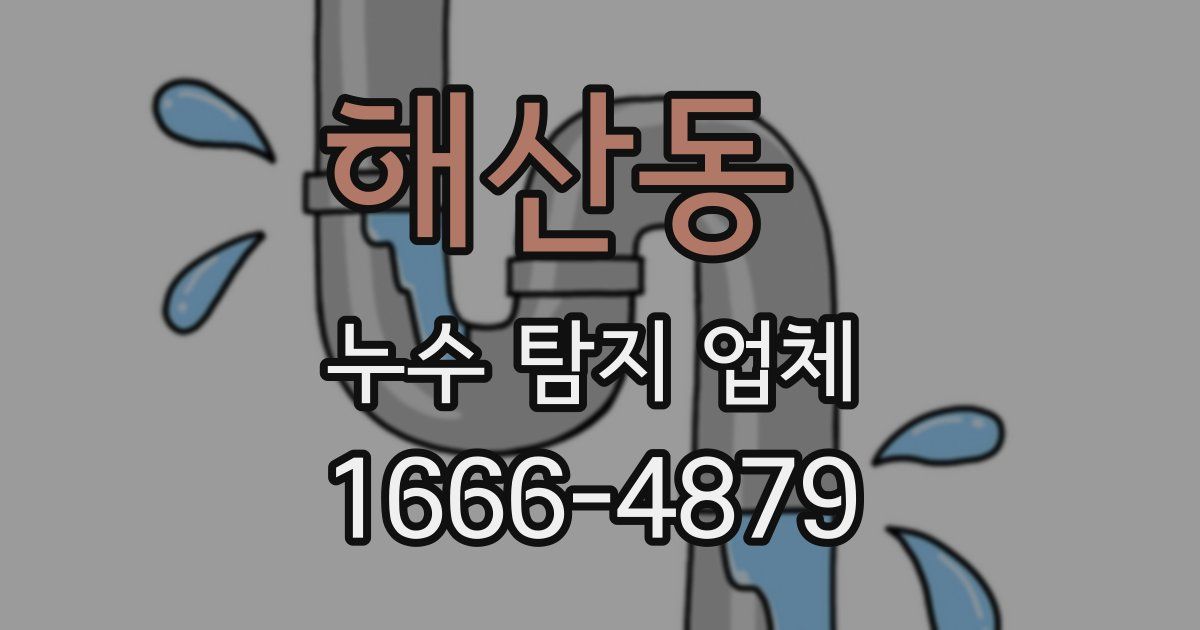 해산동 누수 탐지 업체