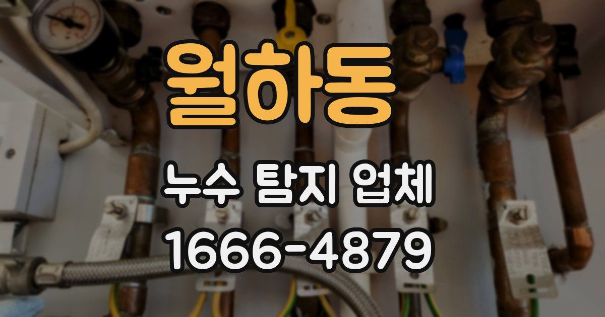 월하동 누수 탐지 업체
