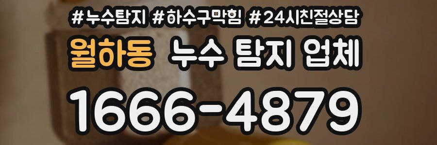 월하동 누수 탐지 업체