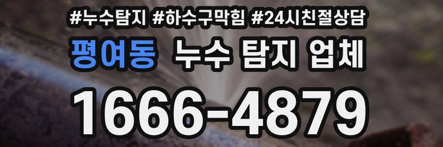 평여동 누수 탐지 업체