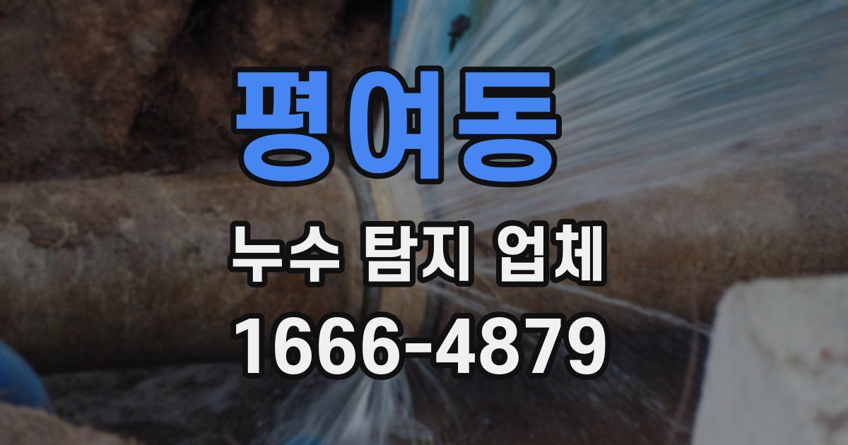 평여동 누수 탐지 업체