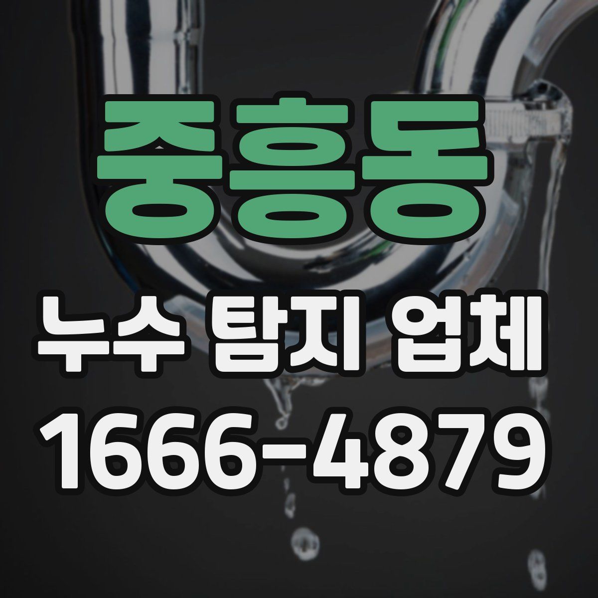 중흥동 누수 탐지 업체