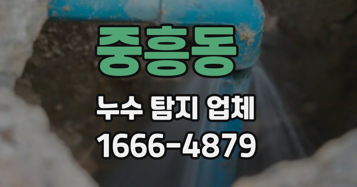중흥동 누수 탐지 업체