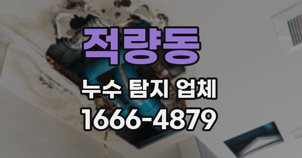 적량동 누수 탐지 업체