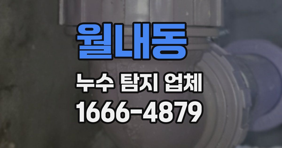 월내동 누수 탐지 업체