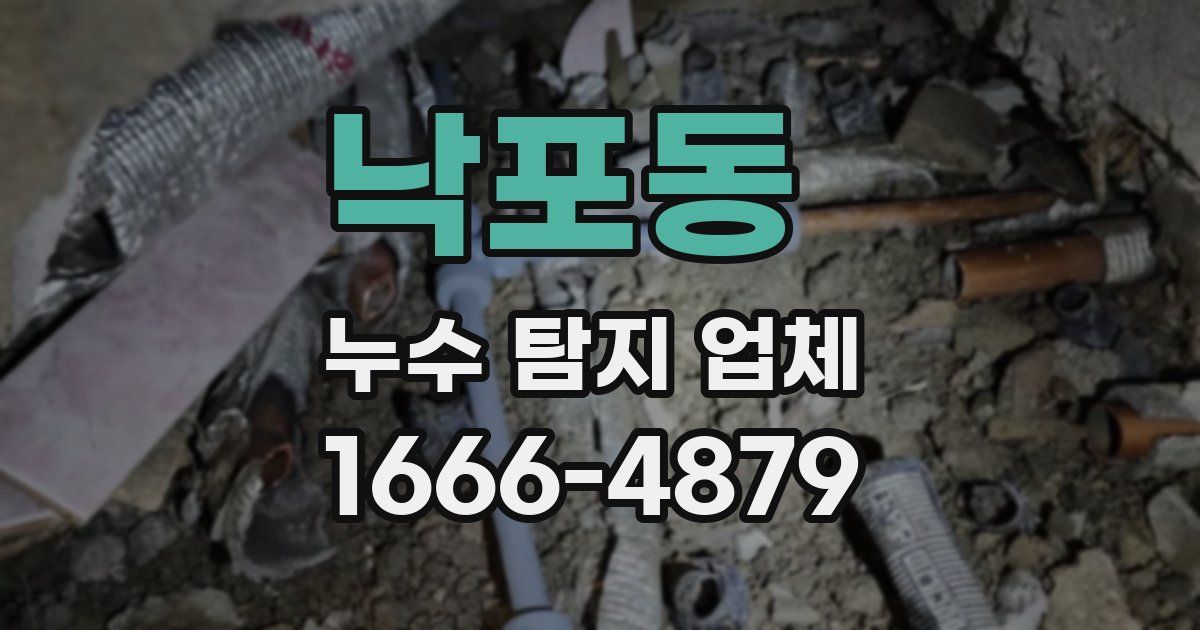 낙포동 누수 탐지 업체