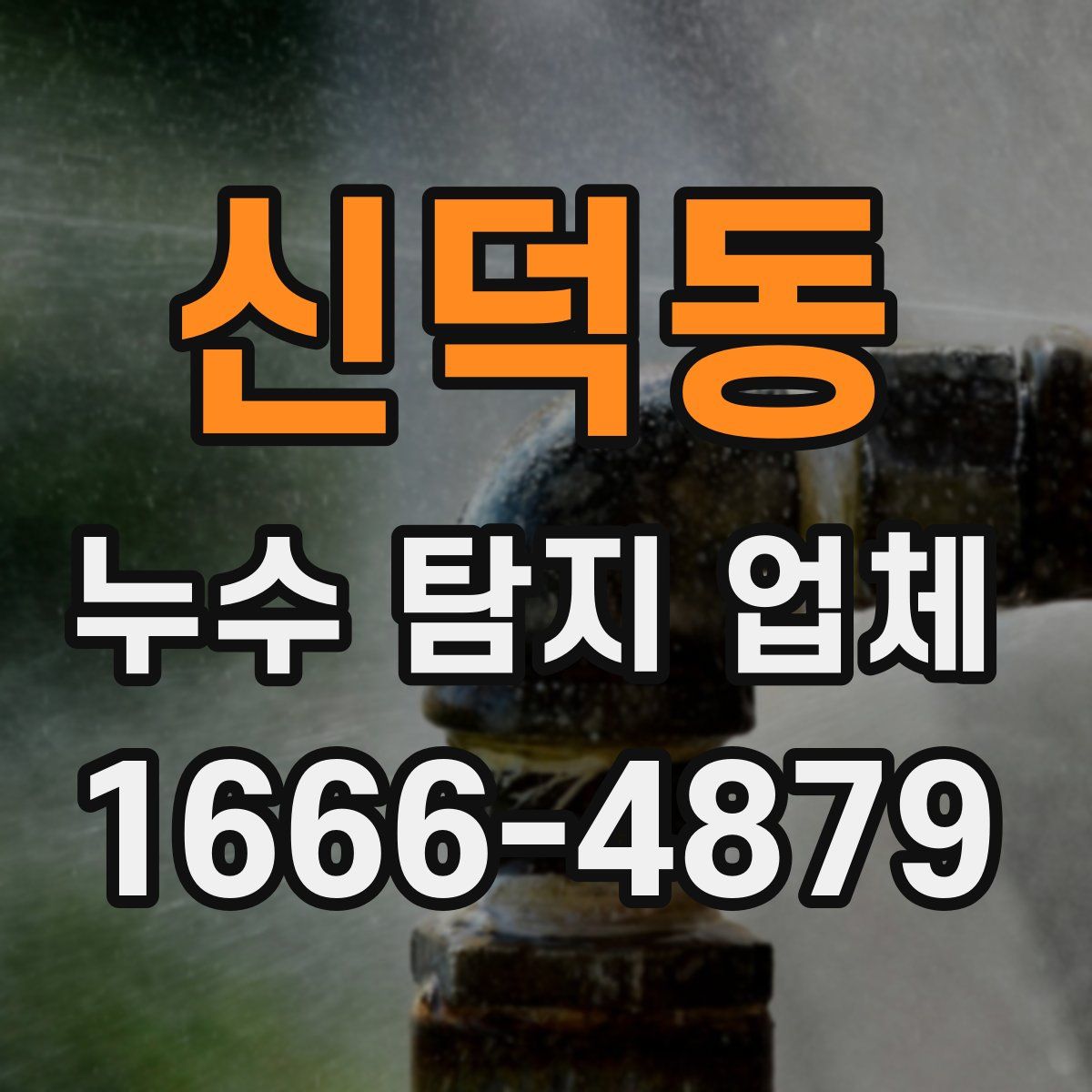 신덕동 누수 탐지 업체