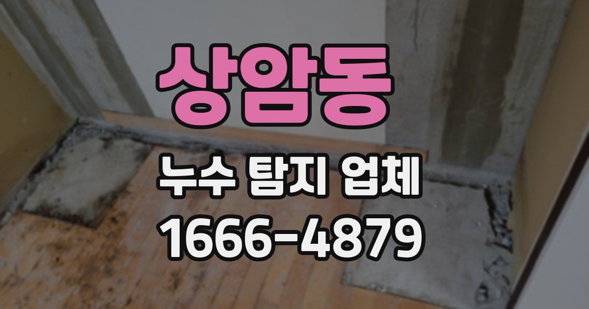 상암동 누수 탐지 업체