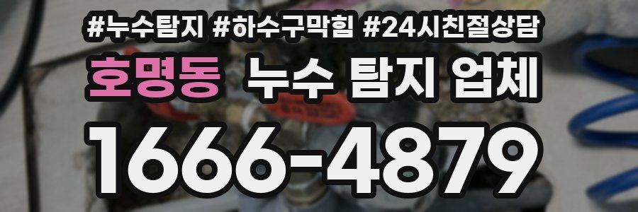 호명동 누수 탐지 업체