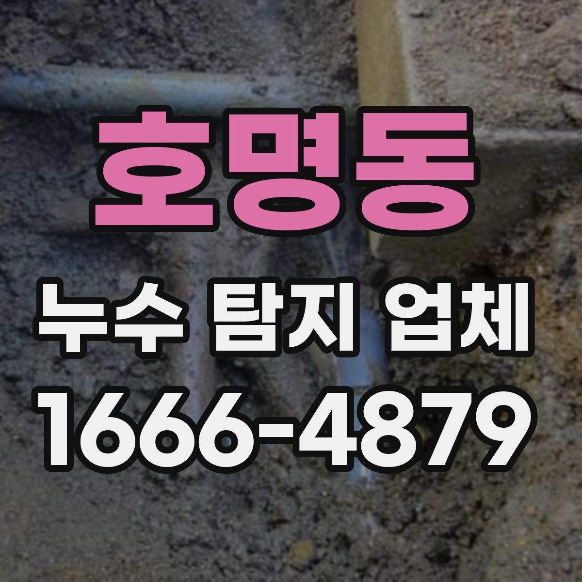 호명동 누수 탐지 업체