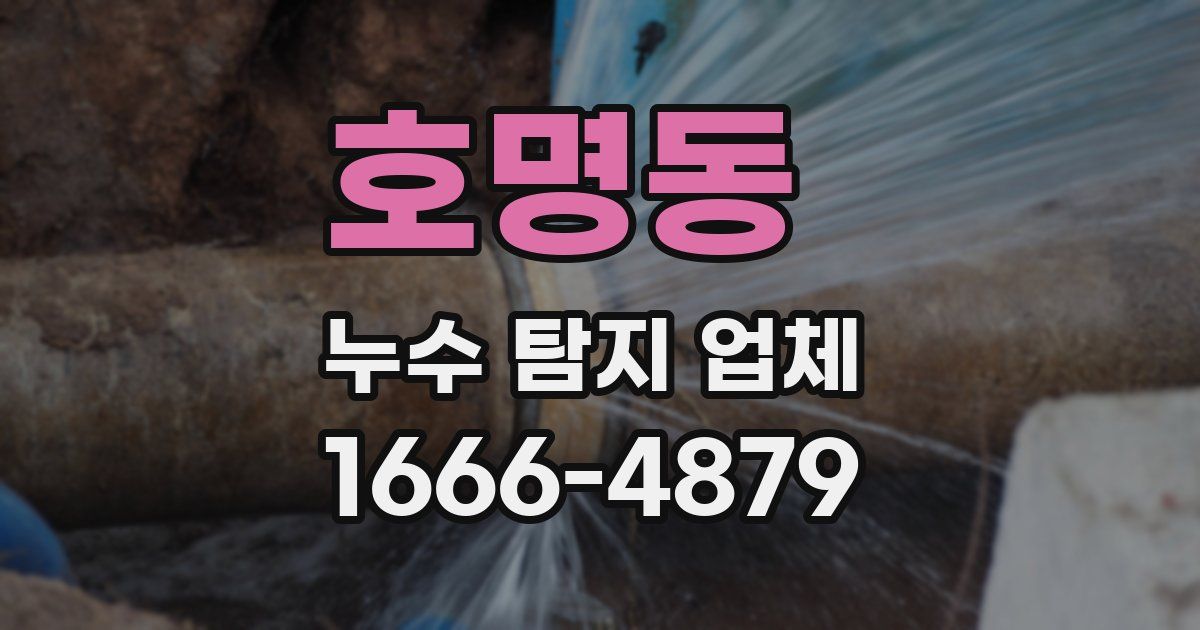 호명동 누수 탐지 업체