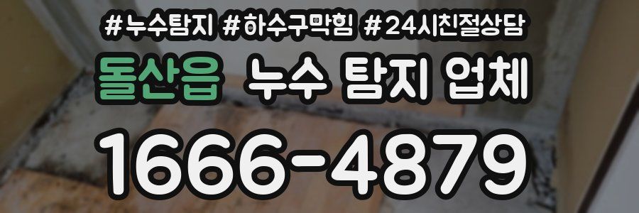 돌산읍 누수 탐지 업체