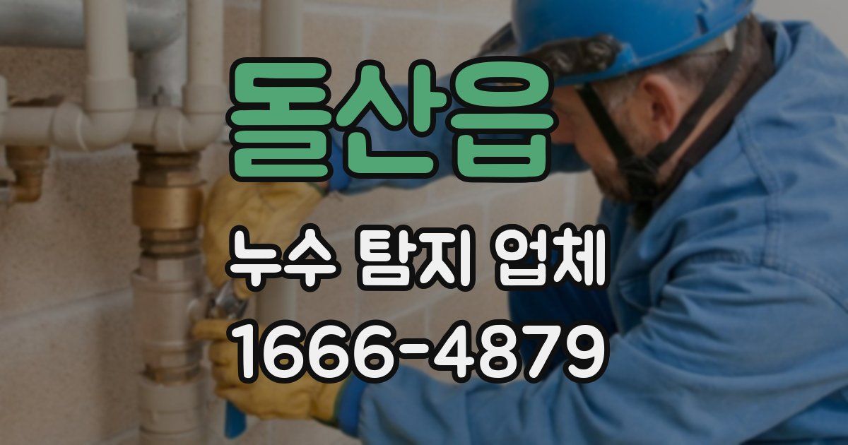 돌산읍 누수 탐지 업체