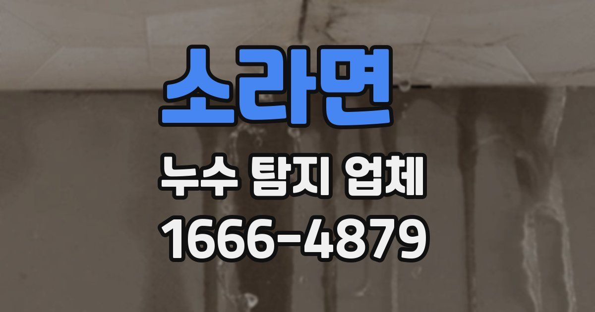 소라면 누수 탐지 업체