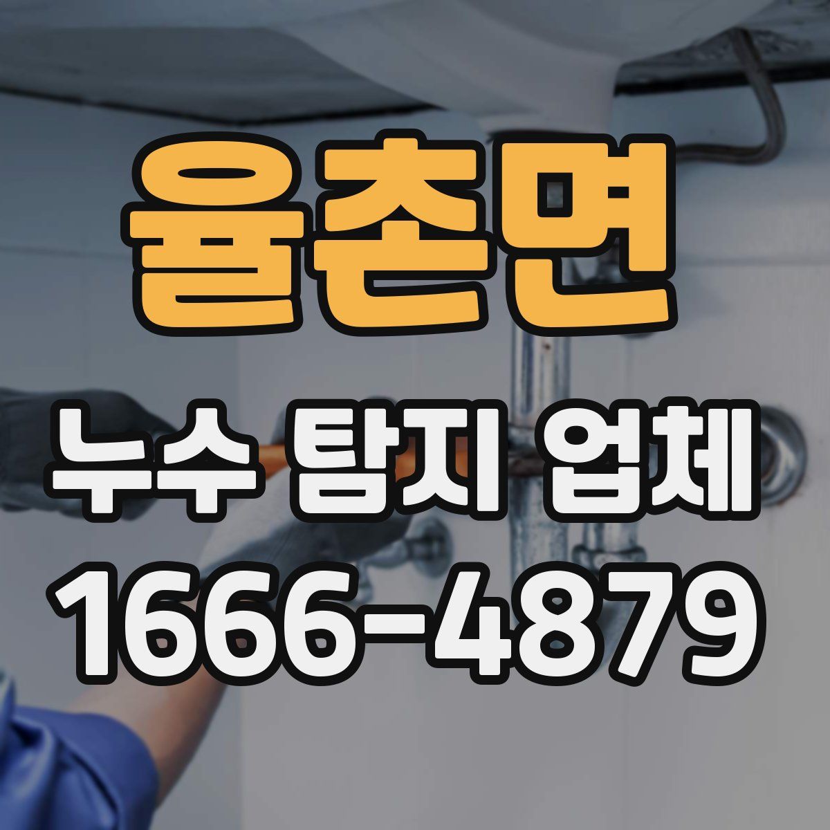 율촌면 누수 탐지 업체