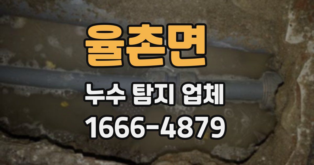 율촌면 누수 탐지 업체