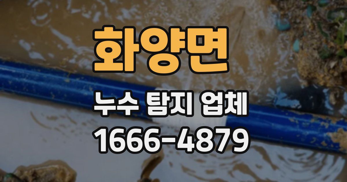 화양면 누수 탐지 업체