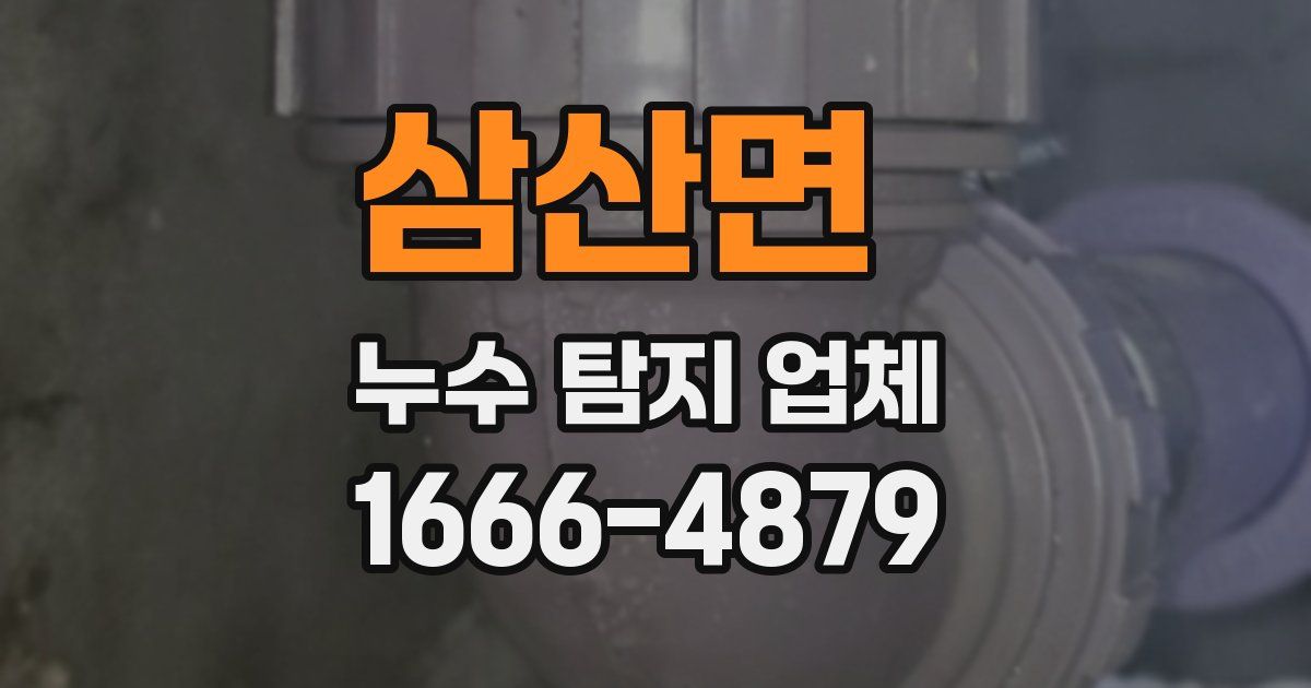 삼산면 누수 탐지 업체